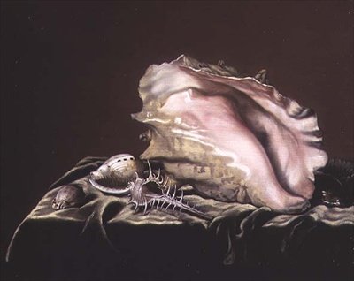 Martwa natura z muszli autorstwa Simon Renard de Saint Andre