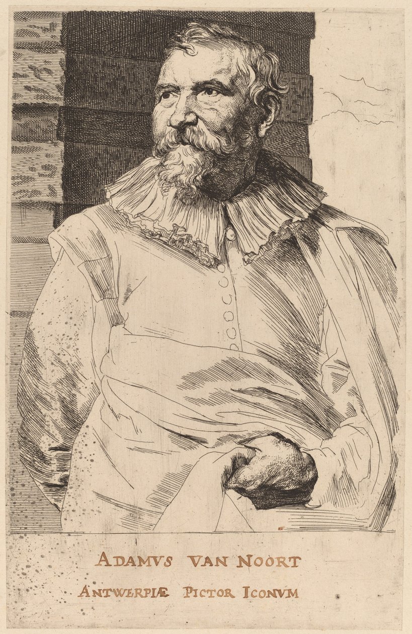 Adam van Noort autorstwa Sir Anthony van Dyck