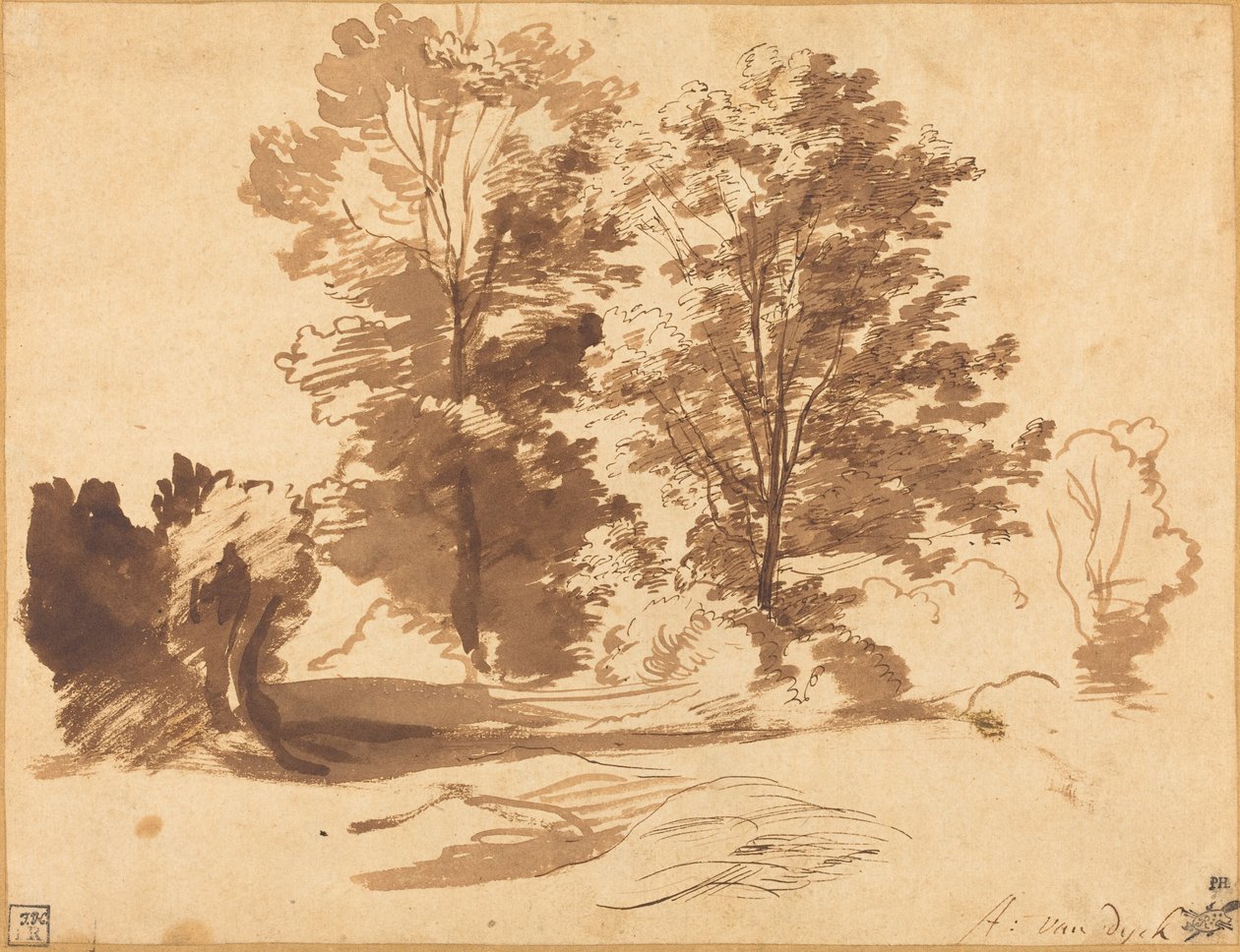Krawędź lasu autorstwa Sir Anthony van Dyck