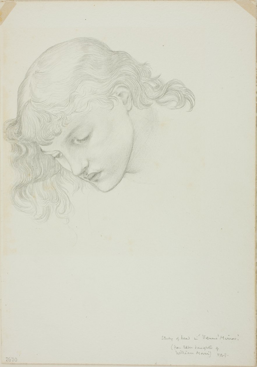 Głowa, Studium dla Lustra Wenus autorstwa Sir Edward Burne Jones