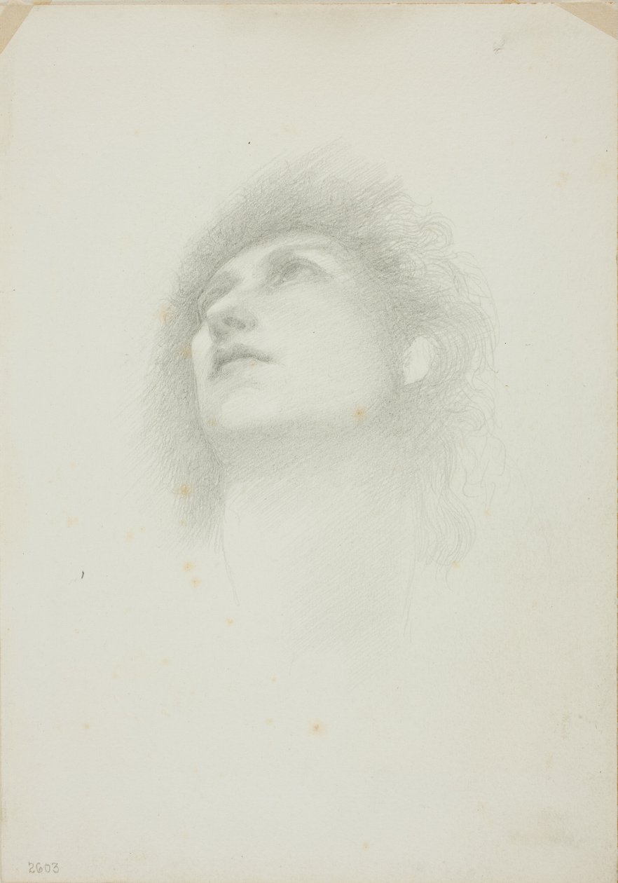 Głowa kobiety z odwróconą twarzą autorstwa Sir Edward Burne Jones