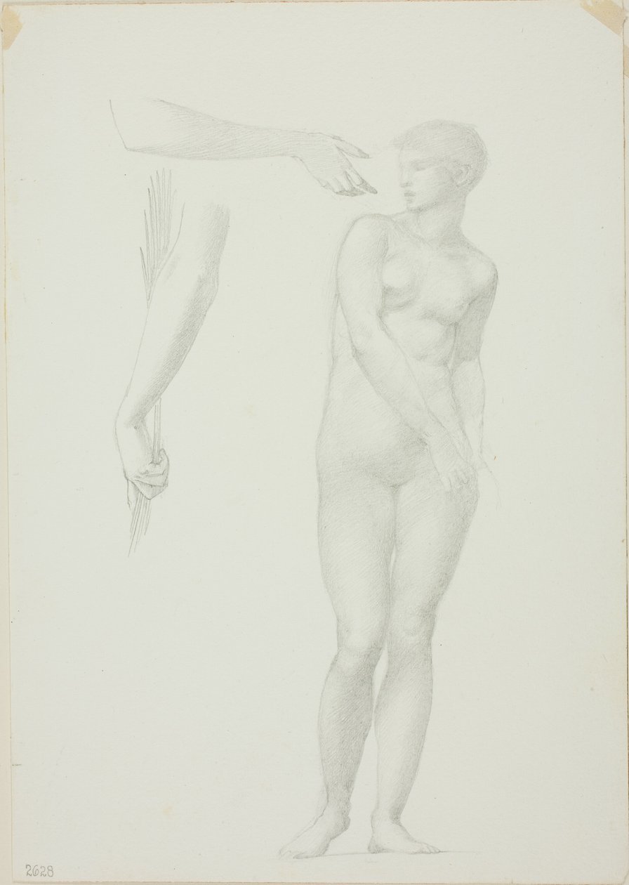 Stojący akt kobiecy i szkice ramion autorstwa Sir Edward Burne Jones