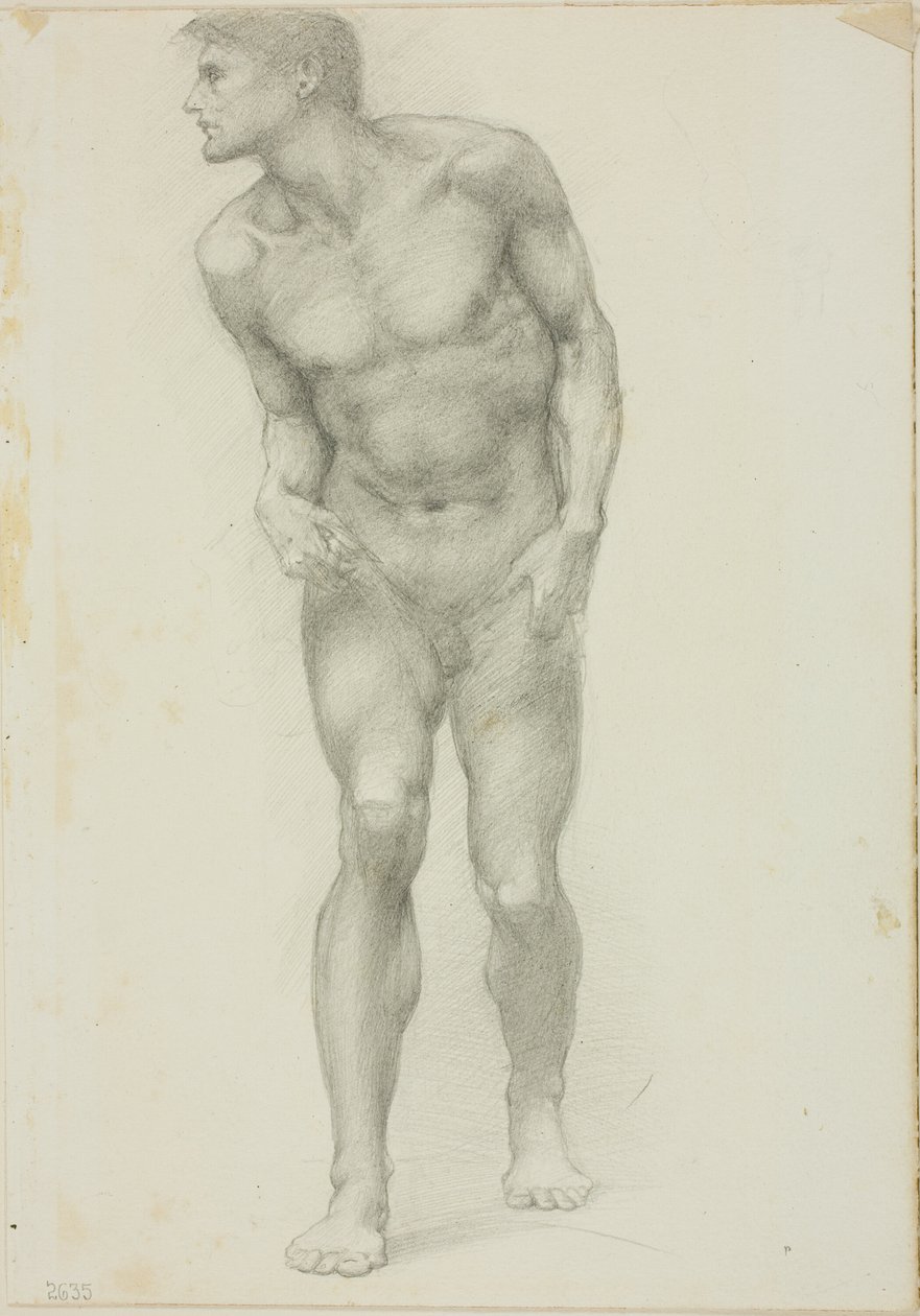 Stojący nagi mężczyzna z twarzą w profilu autorstwa Sir Edward Burne Jones