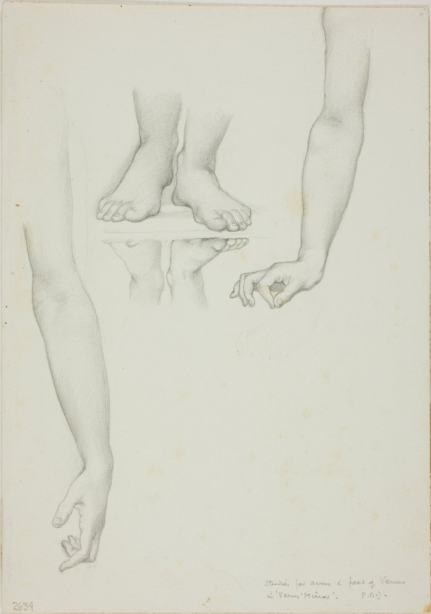 Studium dla Lustra Wenus: Ramiona i Stopy Wenus autorstwa Sir Edward Burne Jones