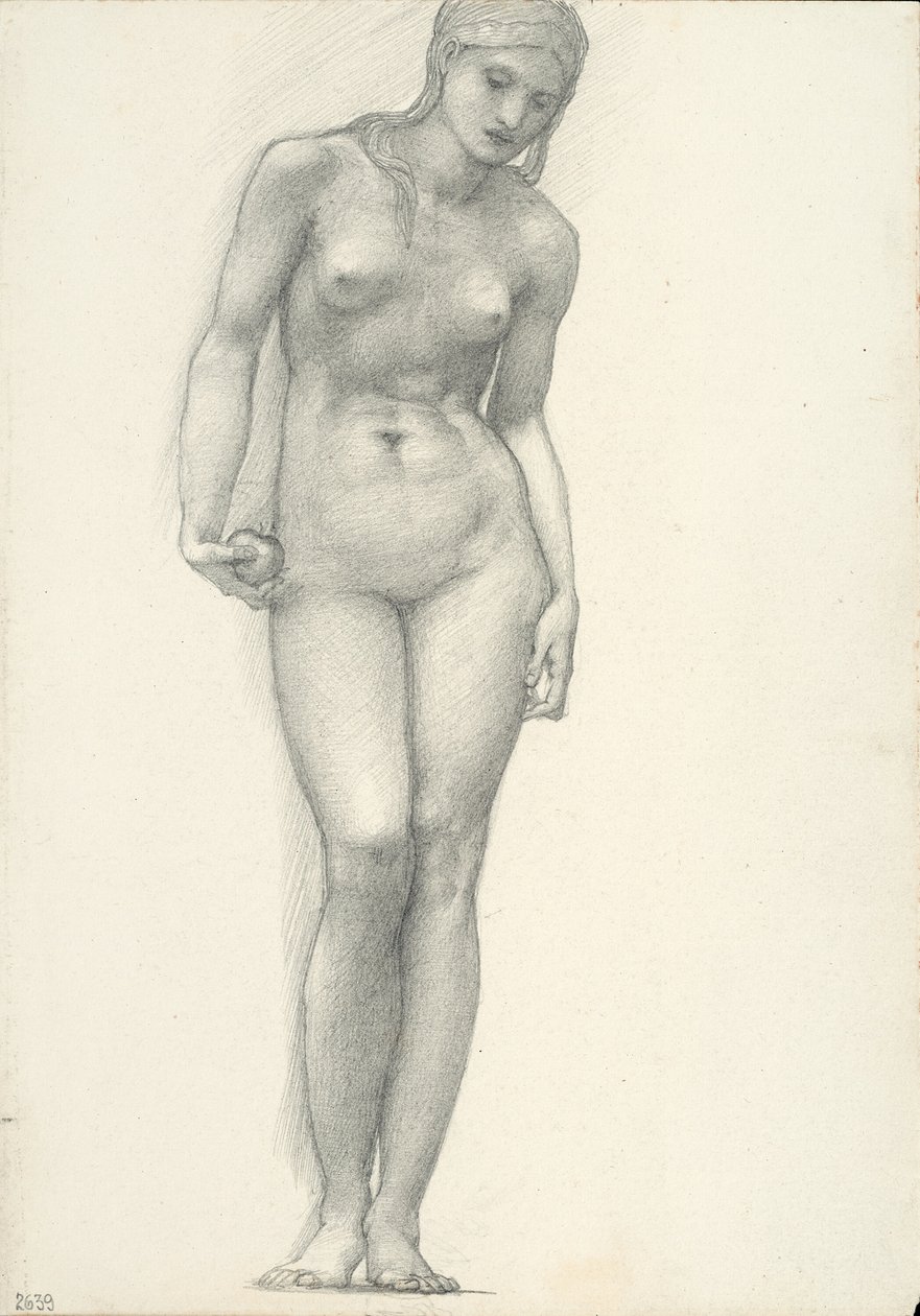 Wenus ze Złotym Jabłkiem w Prawej Ręce, do Tryptyku Trojańskiego (szkicownik #2639) autorstwa Sir Edward Burne Jones