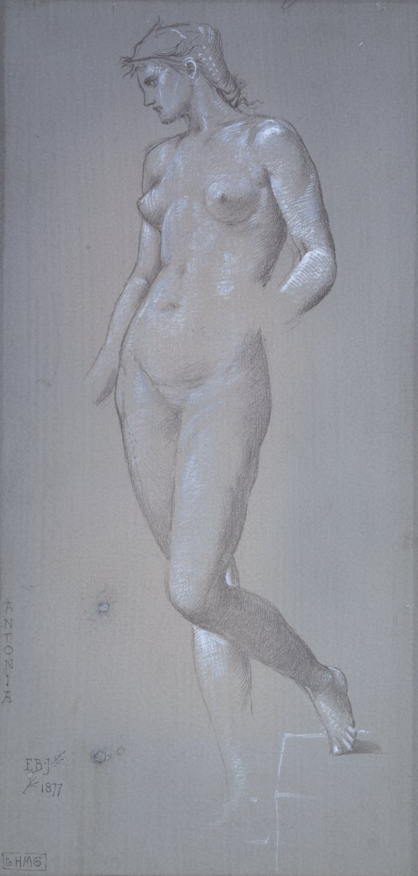 Antonia, 1877 r. autorstwa Sir Edward Coley Burne Jones