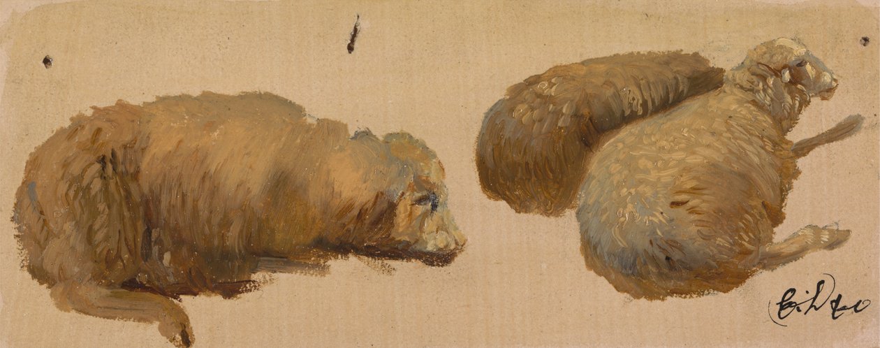 Trzy owce w spoczynku autorstwa Sir Edwin Henry Landseer
