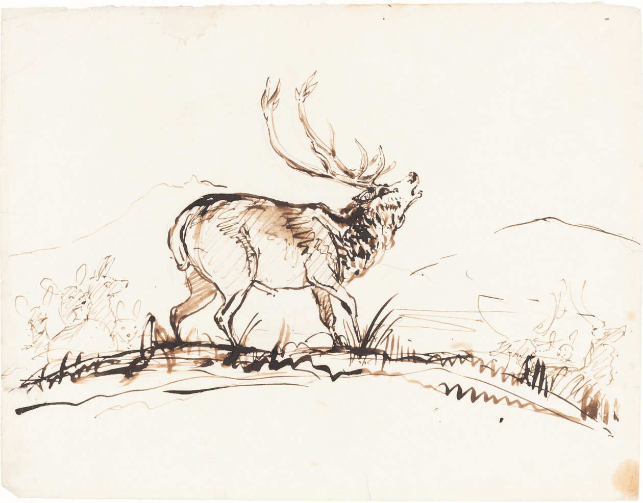 Ryczący Jeleń autorstwa Sir Edwin Landseer