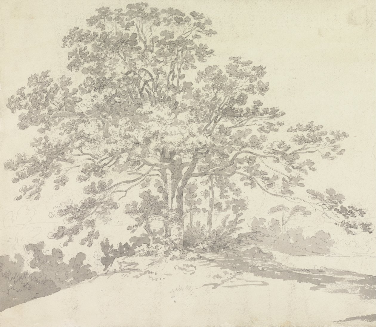 Drzewo autorstwa Sir George Howland Beaumont seventh Baronet