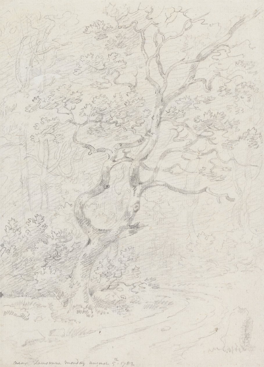 Drzewa, Blisko Lozanny autorstwa Sir George Howland Beaumont seventh Baronet