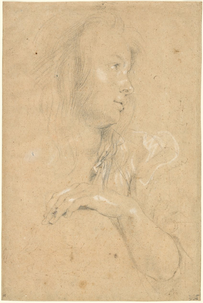 Młoda kobieta w profilu autorstwa Sir Peter Paul Rubens
