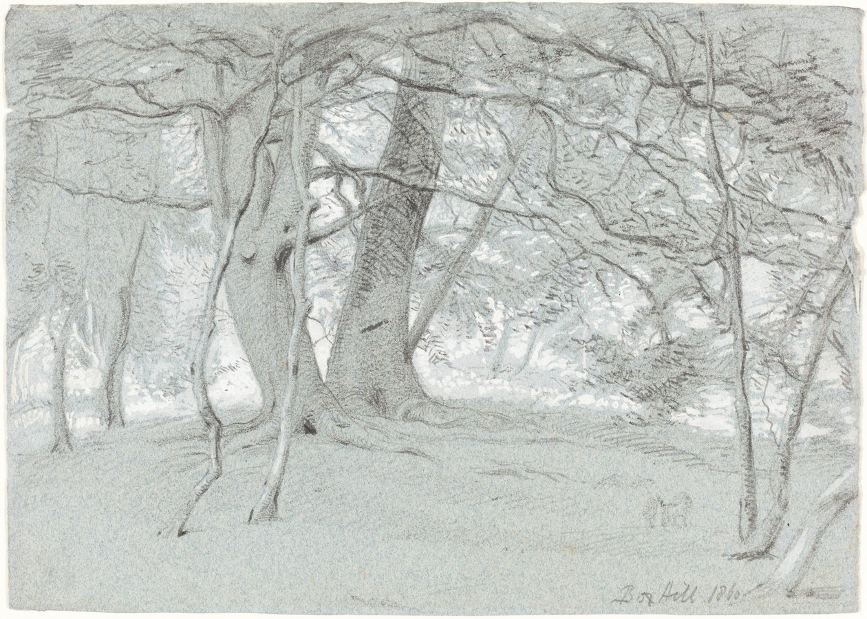 Drzewa w Box Hill autorstwa Sir William Blake Richmond