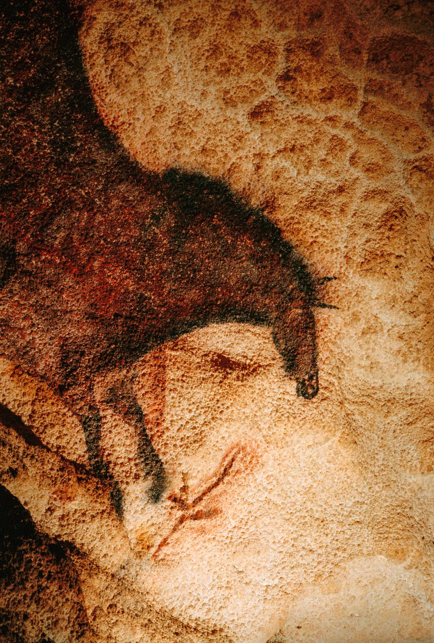 Galopujący koń w jaskini Lascaux, Francja. autorstwa Sisse Brimberg