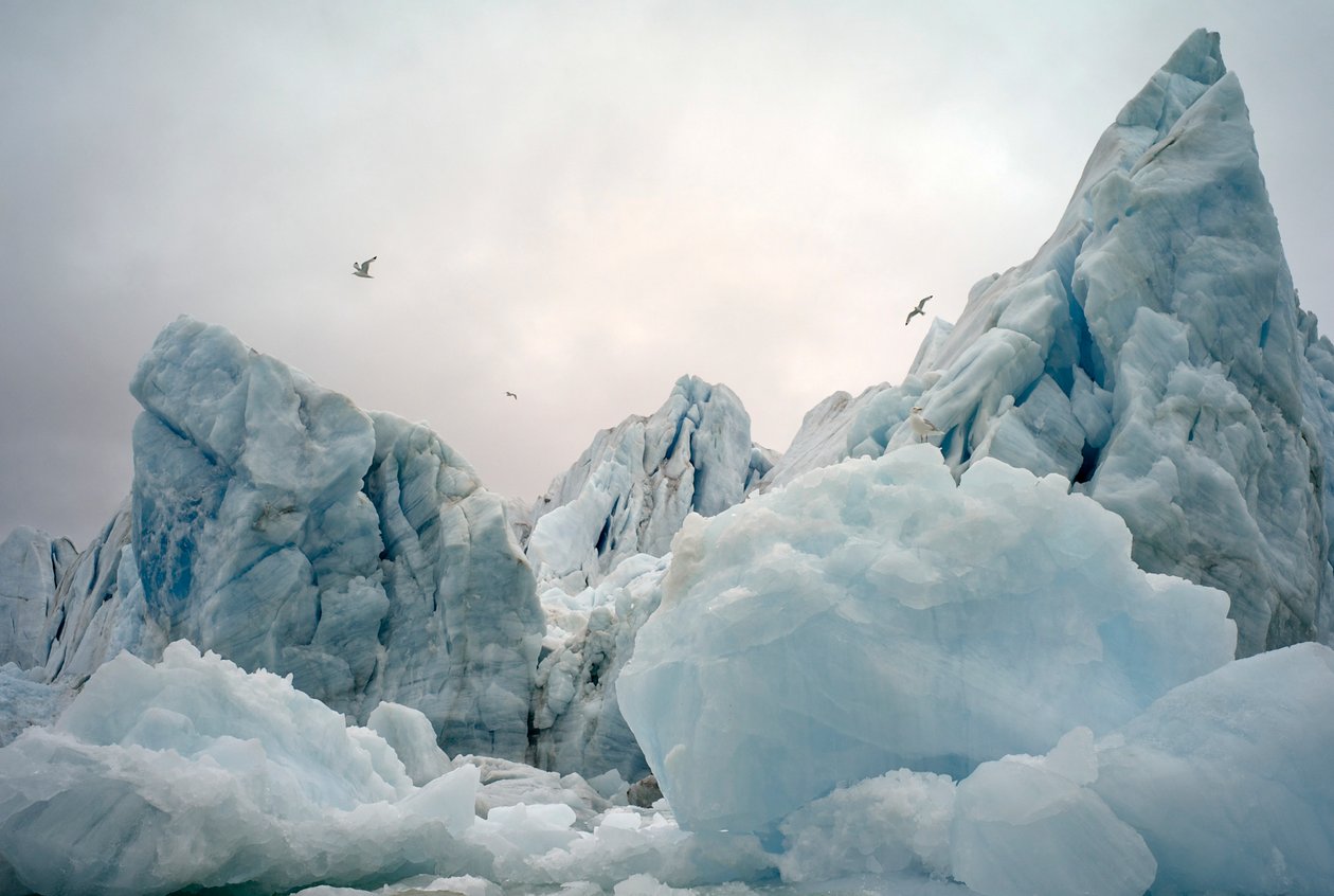 Góry lodowe na Morzu Arktycznym wokół wyspy Spitsbergen, Norwegia, 2022 r. (zdjęcie ilustracyjne) autorstwa Sisse Brimberg