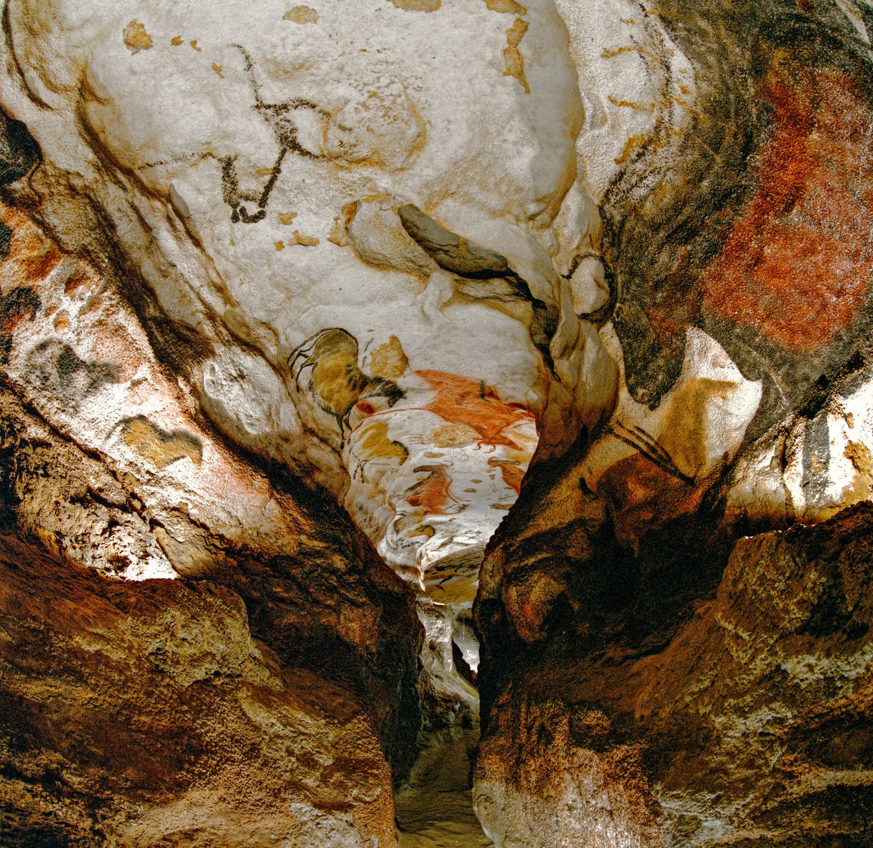 Galeria Axial przedstawia wymarłe tury na suficie jaskini Lascaux we Francji. autorstwa Sisse Brimberg