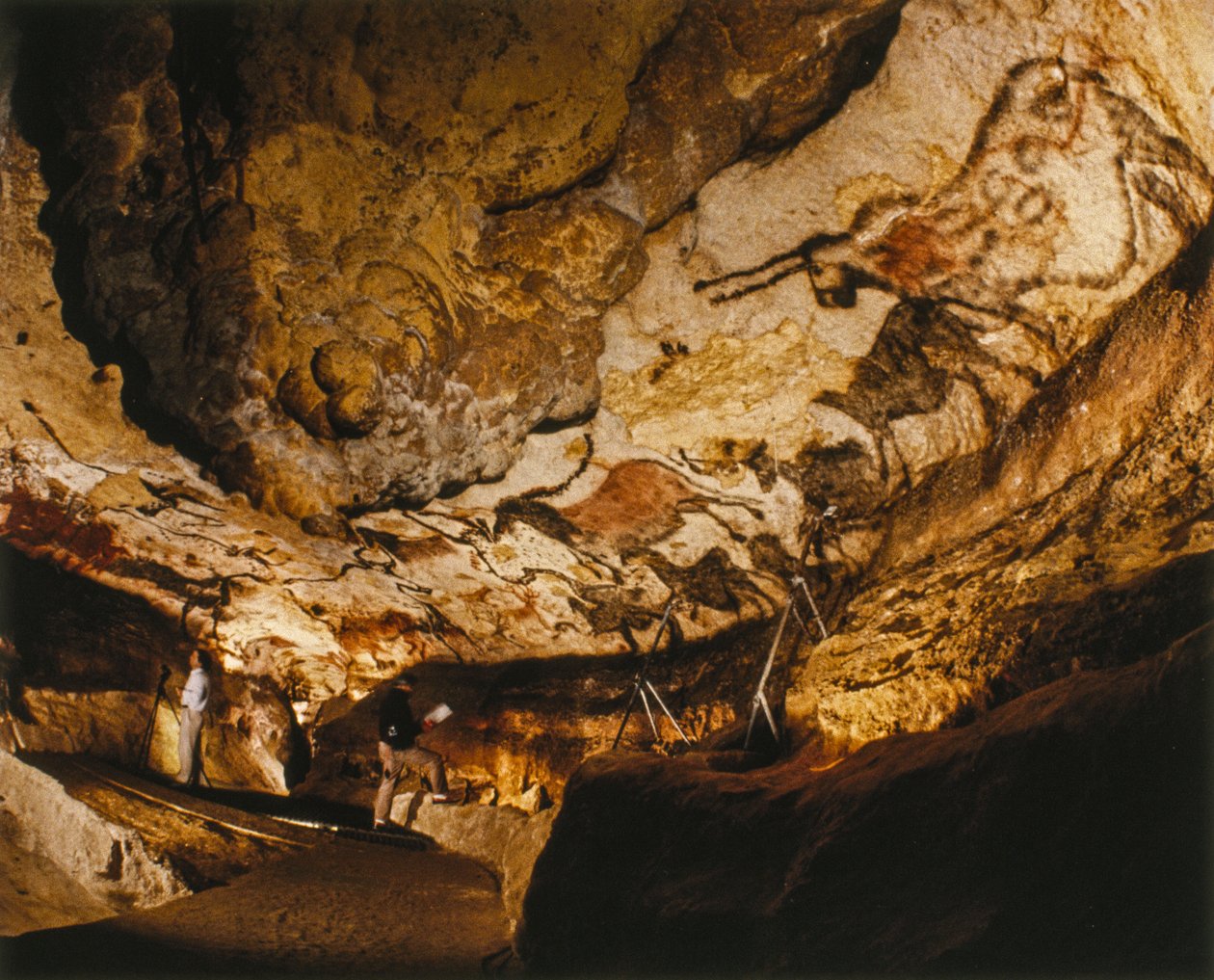 Mityczny jednorożec z Lascaux i inne malowidła z Lascaux wykonane ponad 17 000 lat temu. autorstwa Sisse Brimberg