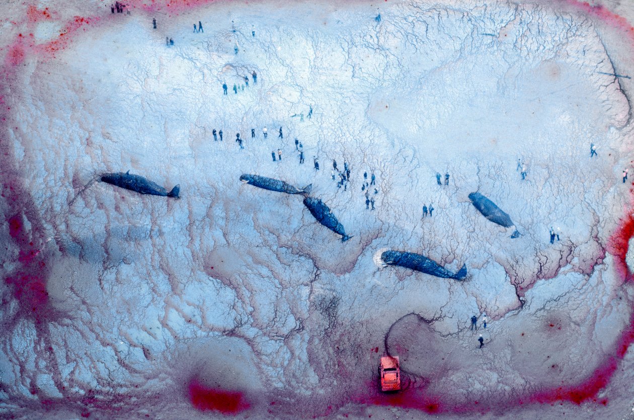 The Space Between, 2022 (zdjęcie ilustracyjne) autorstwa Sisse Brimberg
