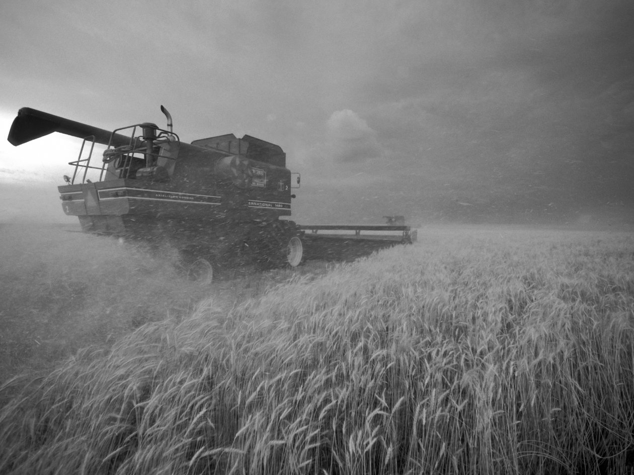 Stany Zjednoczone, Kansas: Pszenica w Kansas zbierana o zmierzchu latem, 2022 r. (zdjęcie ilustracyjne) autorstwa Sisse Brimberg