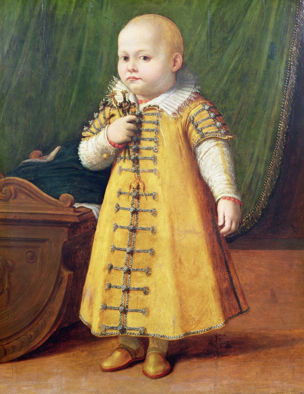Portret dziecka (panel) autorstwa Sofonisba Anguissola