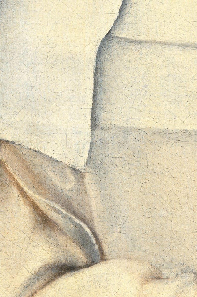 Portret siostry artysty autorstwa Sofonisba Anguissola
