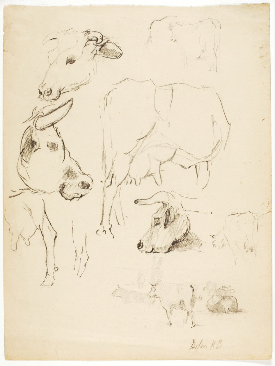 Krowy autorstwa Solon H. Borglum