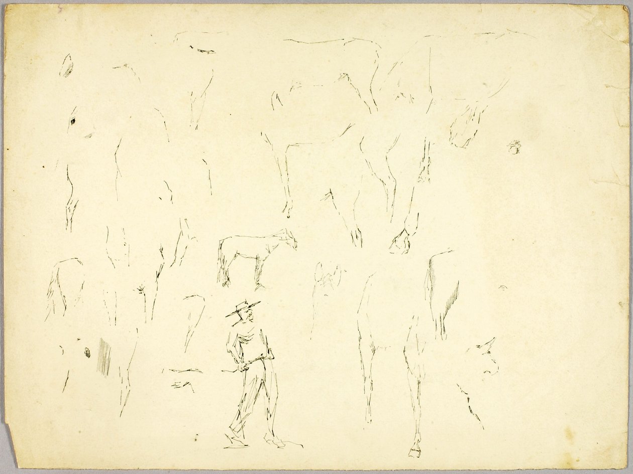 Badanie koni autorstwa Solon H. Borglum