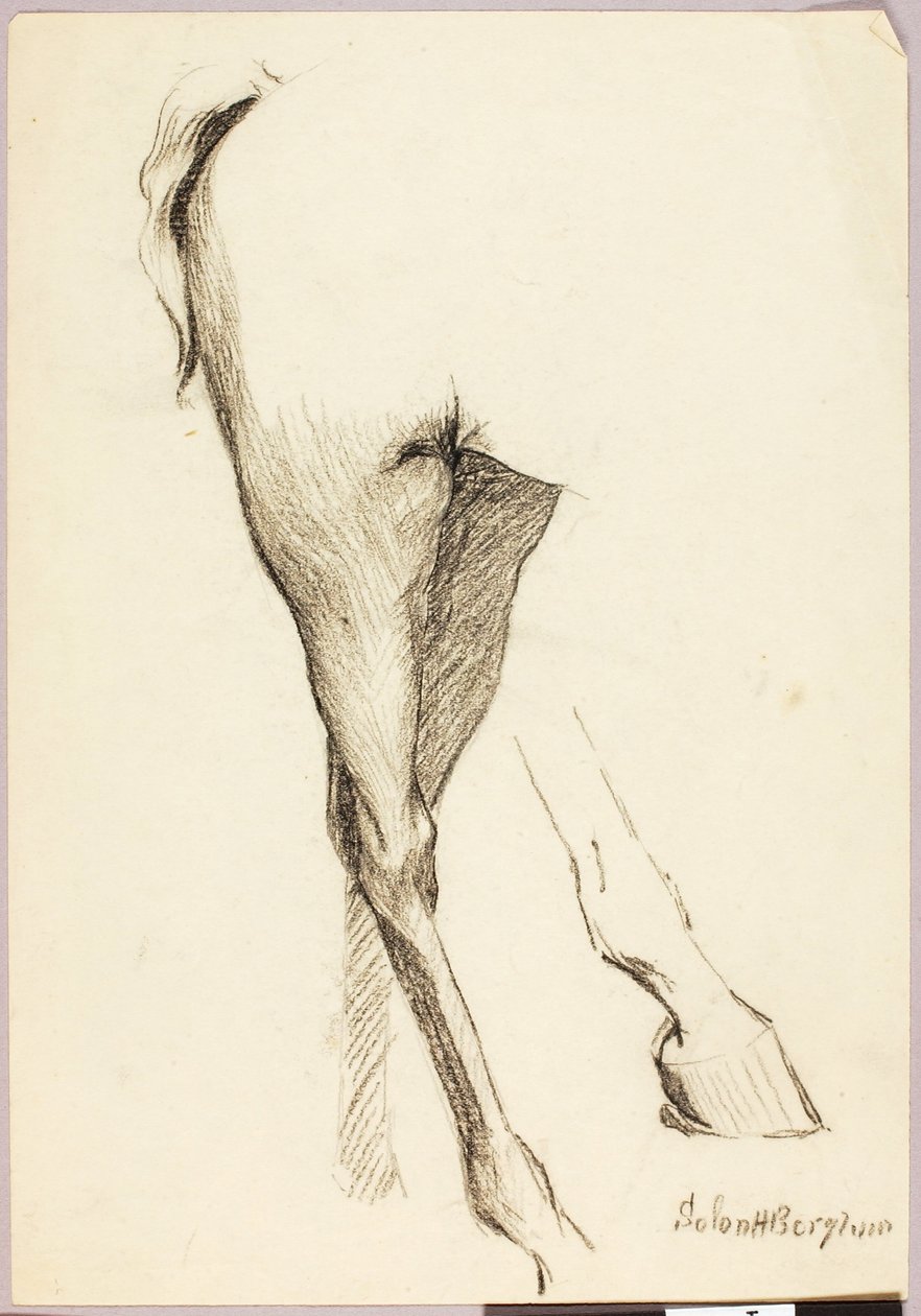 Badanie koni autorstwa Solon H. Borglum