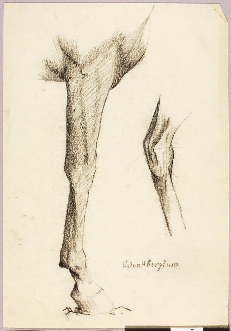Badanie koni autorstwa Solon H. Borglum