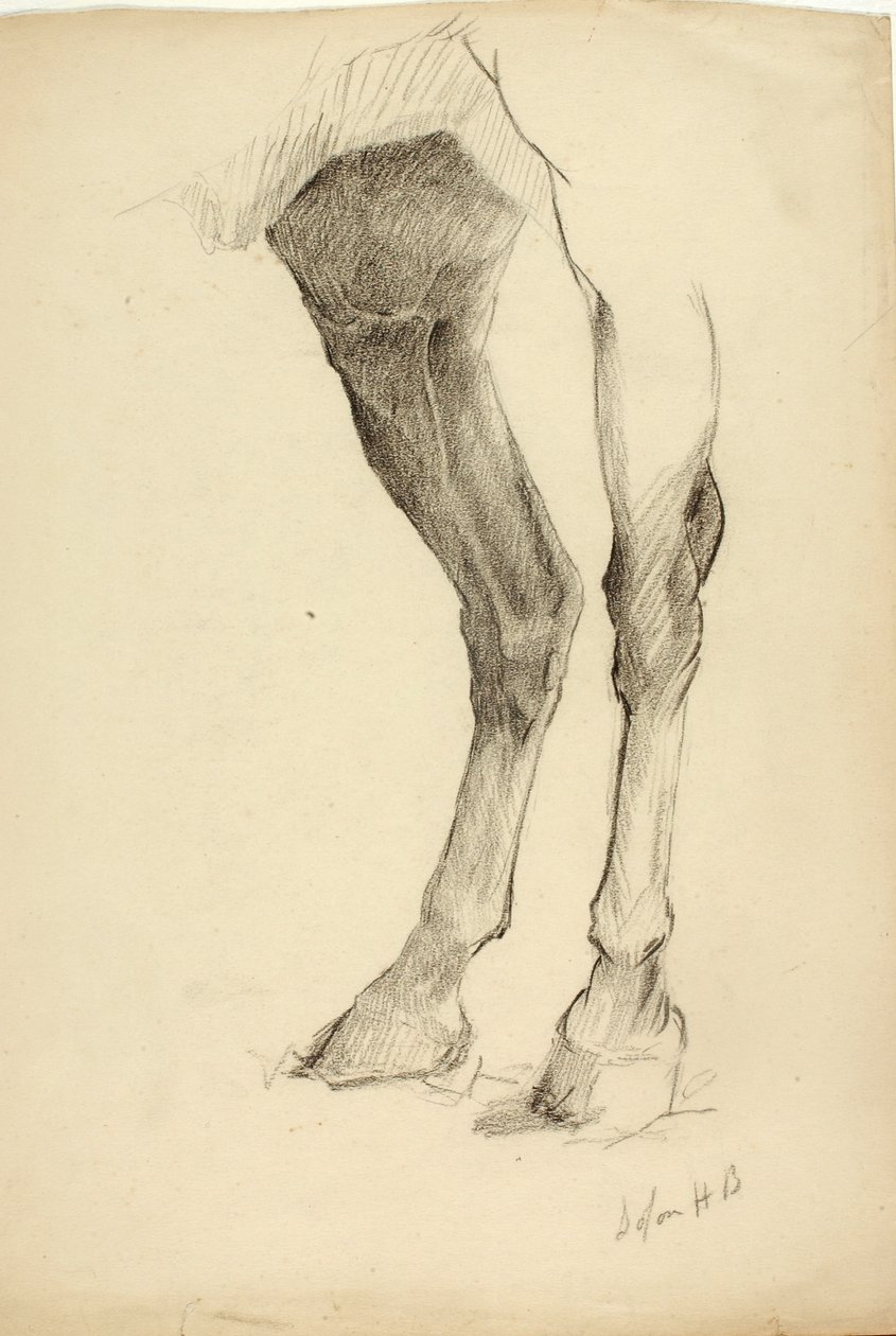 Noga konia autorstwa Solon H. Borglum