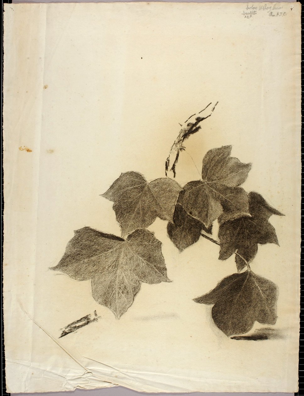 Liście autorstwa Solon H. Borglum