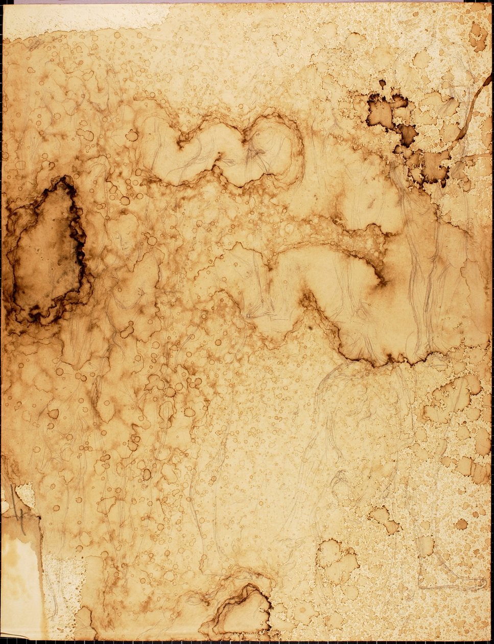 Akty autorstwa Solon H. Borglum
