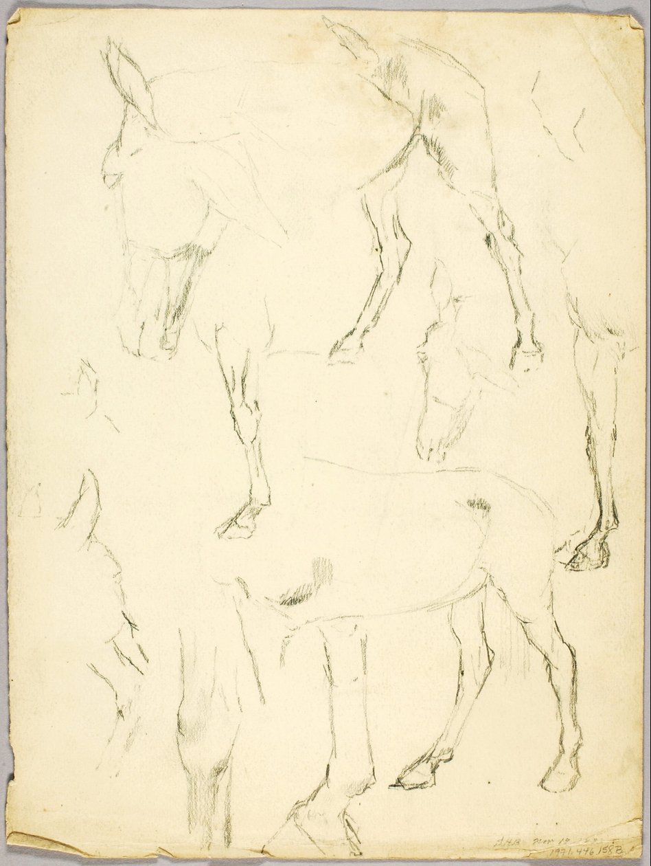 Studium portretu, Studium konia autorstwa Solon H. Borglum