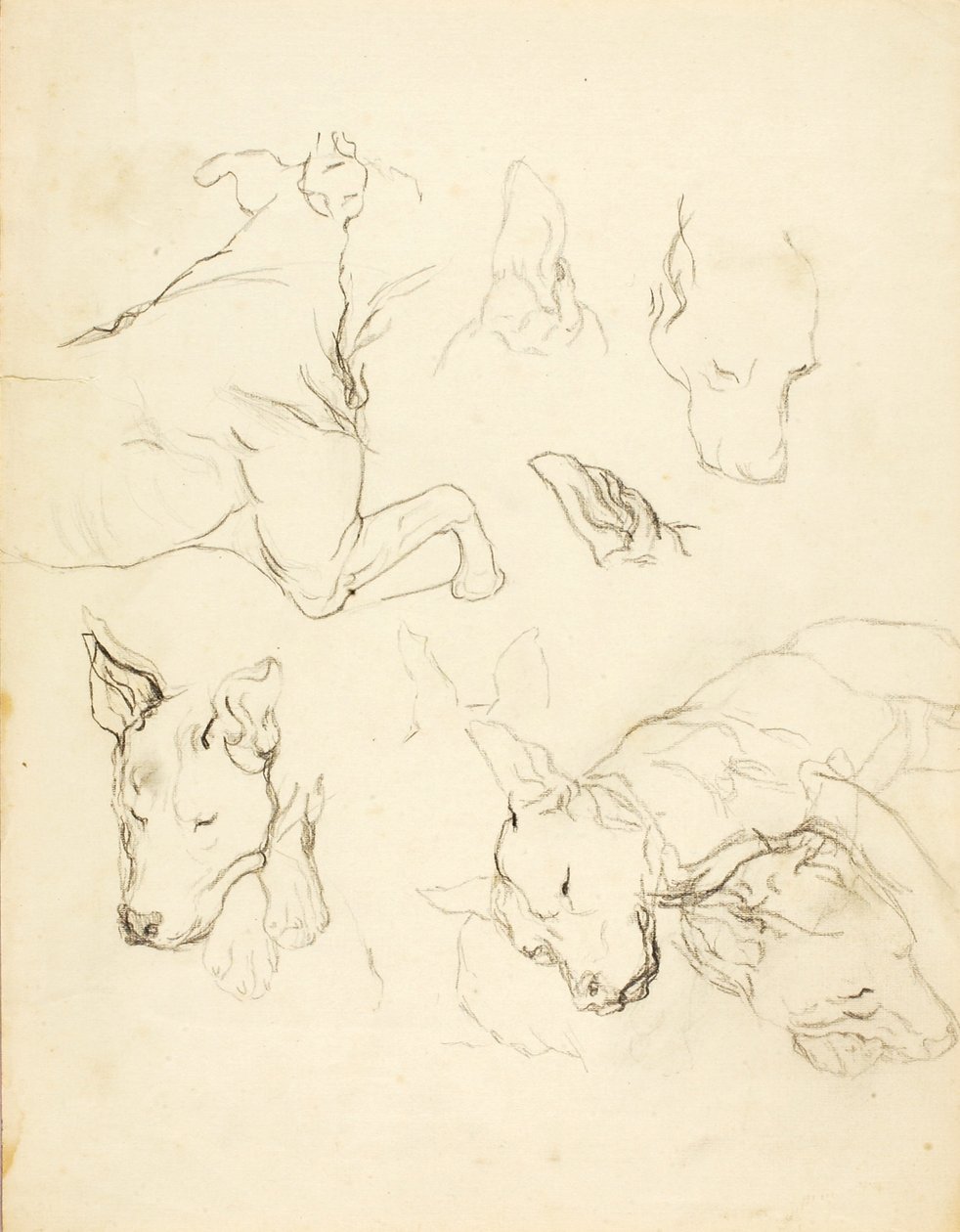 Sleeping Dogs autorstwa Solon H. Borglum