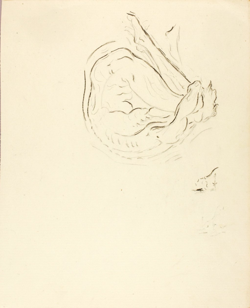 Pływak autorstwa Solon H. Borglum