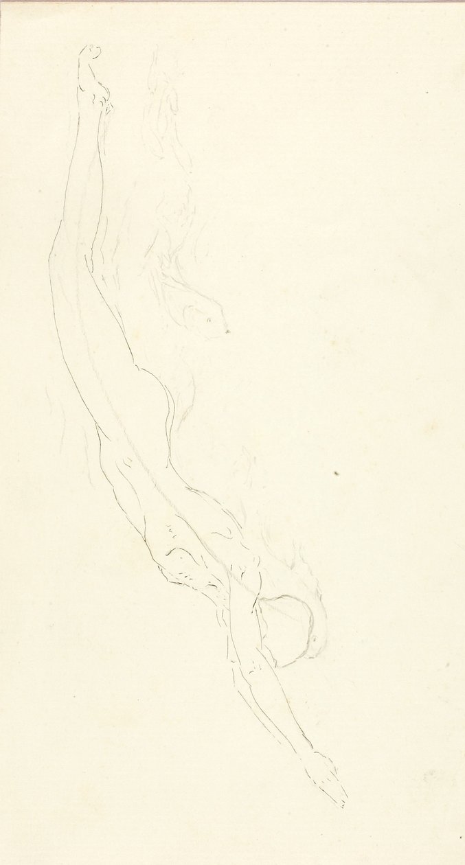 The Plunge #2 autorstwa Solon H. Borglum