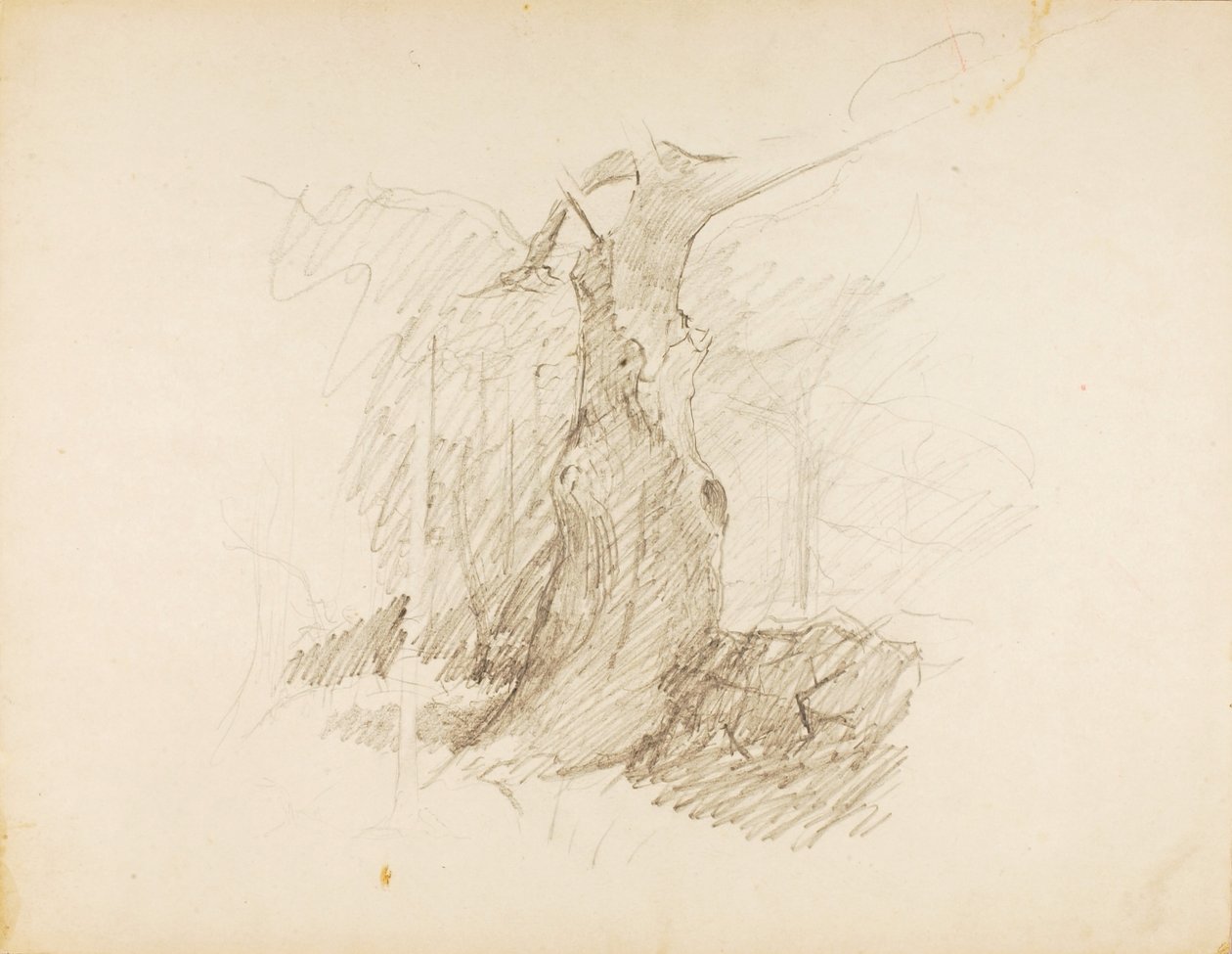 Bez tytułu autorstwa Solon H. Borglum