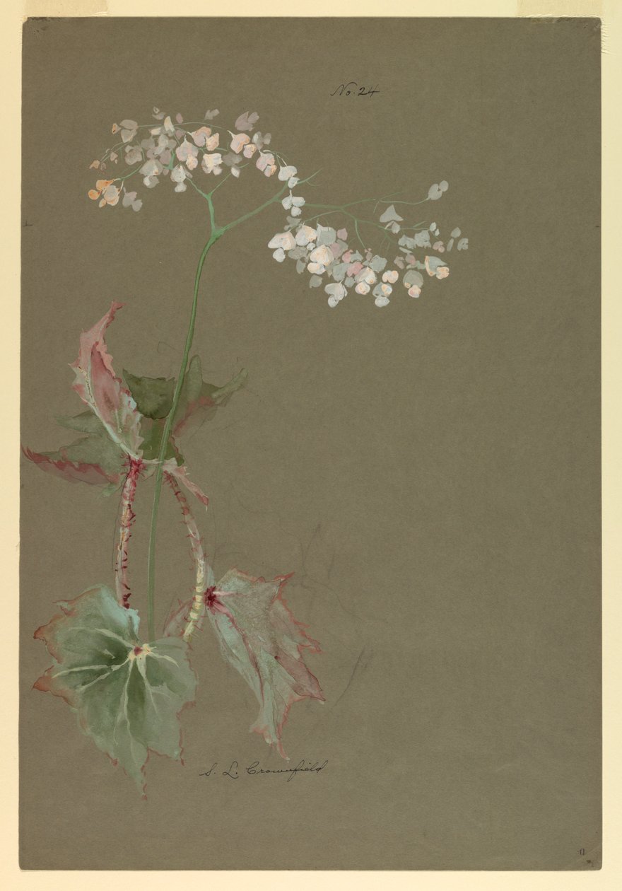 Rysowanie, nauka autorstwa Sophia L. Crownfield