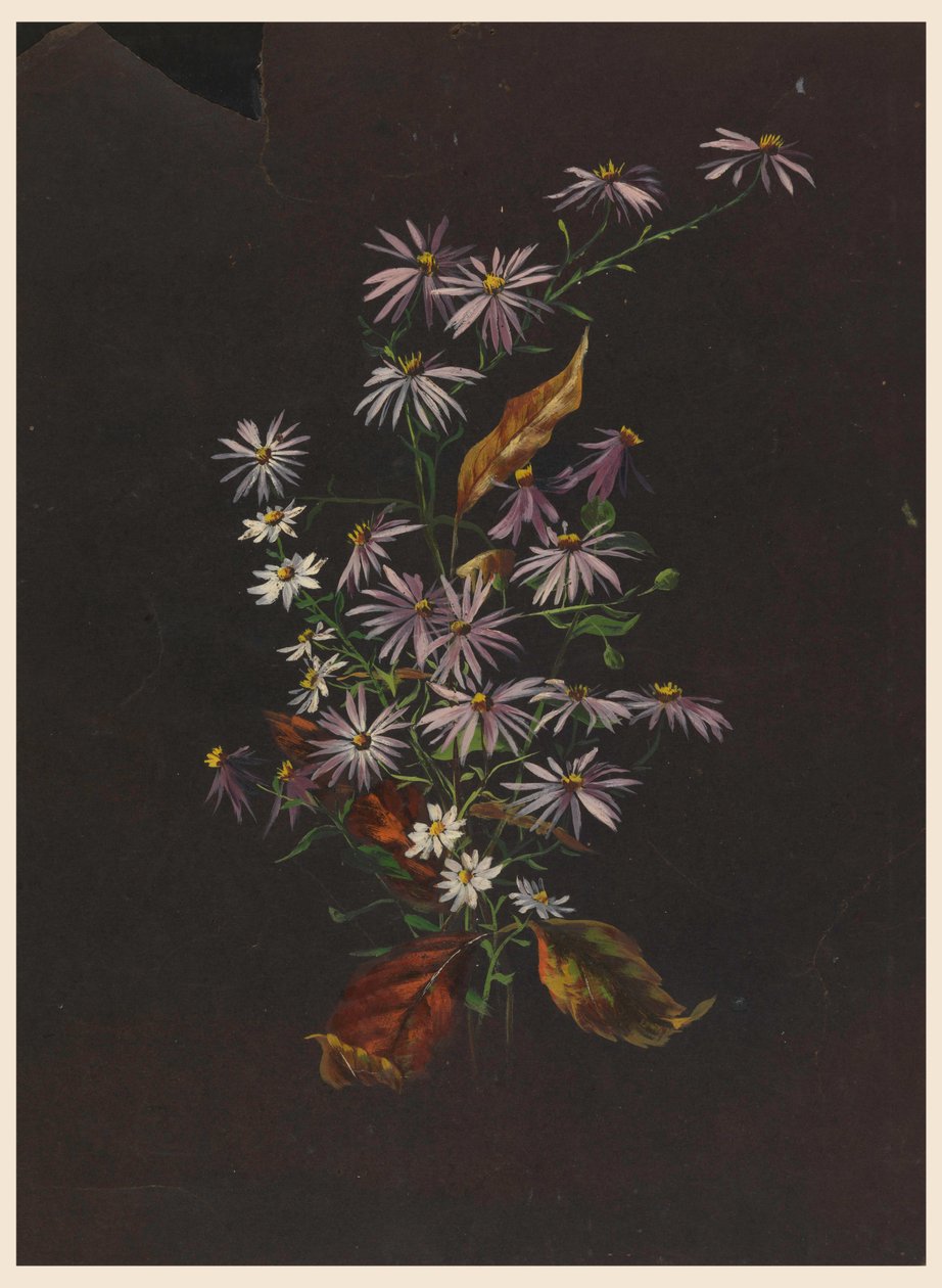 Bukiet Jesienny, ca. 1890 autorstwa Sophia L. Crownfield