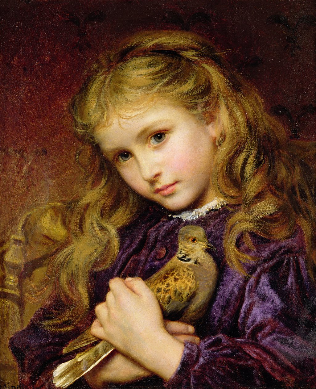 Turtle Dove (olej na płótnie położony na płycie) autorstwa Sophie Gengembre Anderson