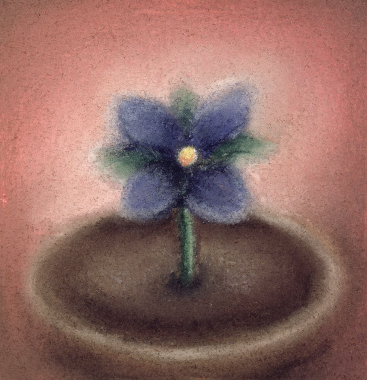 Mały kwiatek (pastel na papierze) autorstwa Sophie Hacker