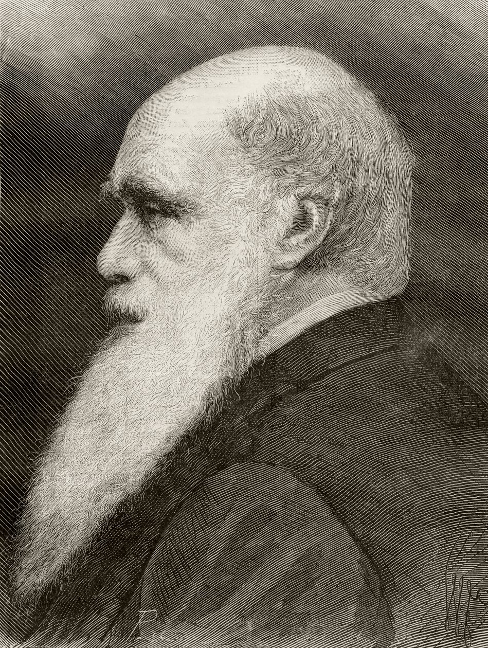 Karol Darwin, z "Nuestro Siglo", wyd. Barcelona, 1883 r. autorstwa Spanish School