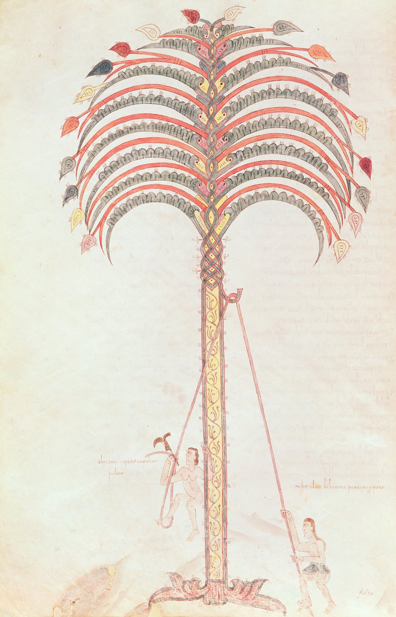 Fol.147v Metafora palmy z Girony Beatus autorstwa Spanish School