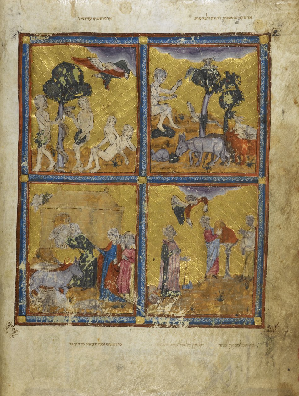 Dodać. 27210 f.2v Adam i Ewa, ze „Złotej Hagady” (tusz, kolor i złoto na welinie) autorstwa Spanish School