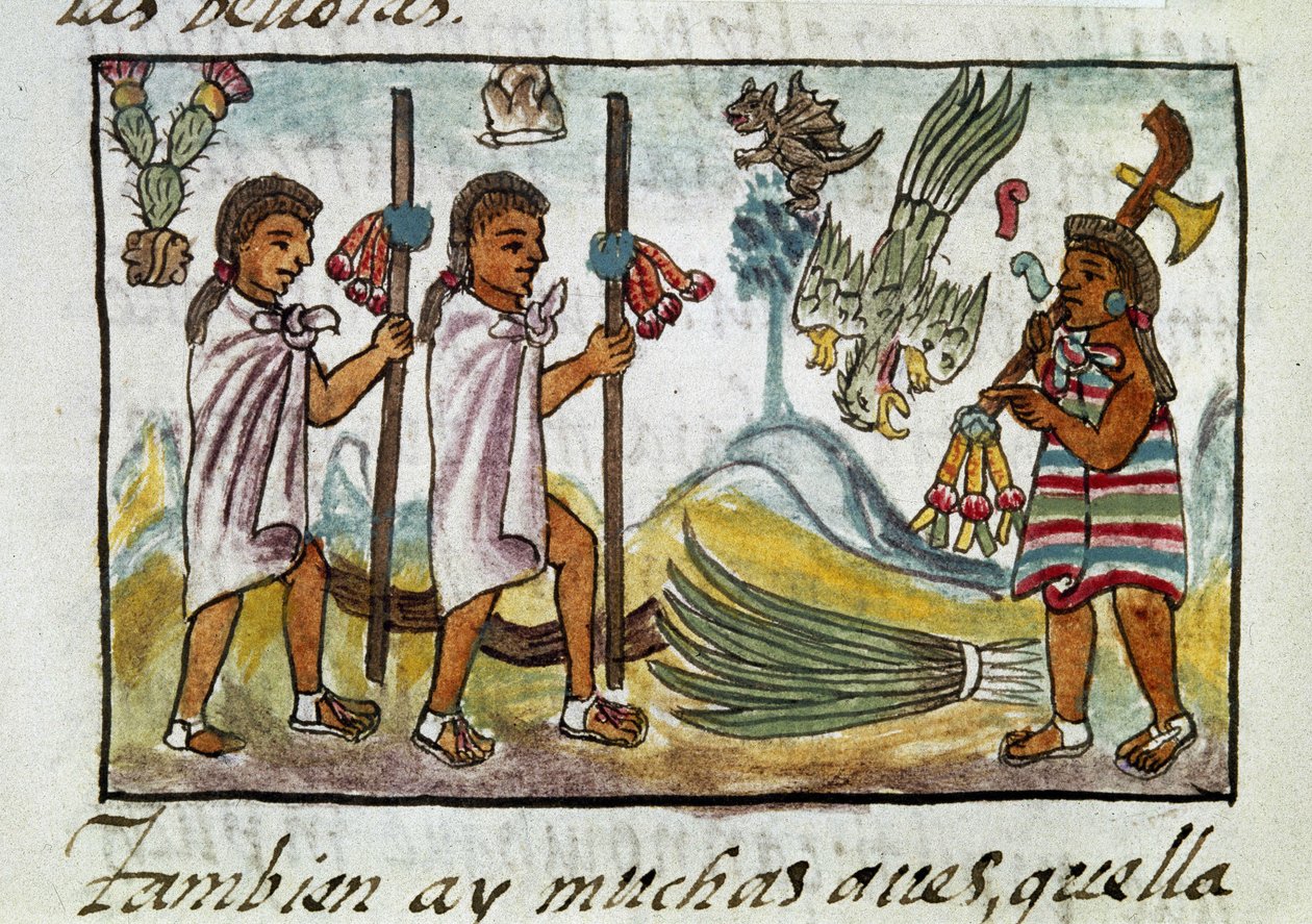 Kodeks podboju Meksyku: kupcy przebrani w Tzinacantlan. Miniatura florenckiego manuskryptu "Storia degli Aztechi" (Historia Azteków) autorstwa Bernardino de Sahaguna. autorstwa Spanish School
