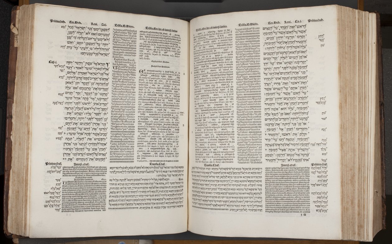 Complutensian Polyglot Bible, wydrukowana przez Arnao Guillen de Brocar (rycina) autorstwa Spanish School