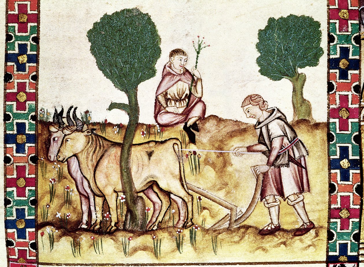 Fol.237r Rolnik uczący syna orania pola autorstwa Spanish School