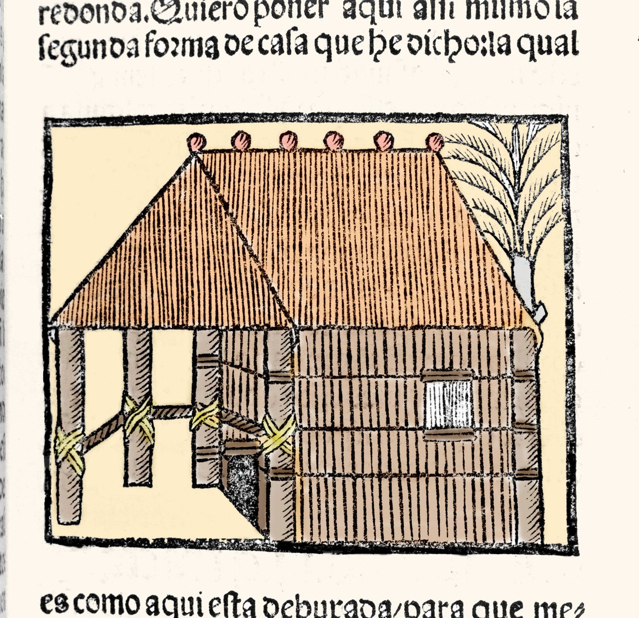 Siedlisko: opis Indian Hut. Grawer z książki „Ogólna historia Indii, wysp i lądu oceanicznego” Gonzalo Fernandeza de Oviedo lub Hernandeza de Oviedo y Valdes (1478-1557) autorstwa Spanish School