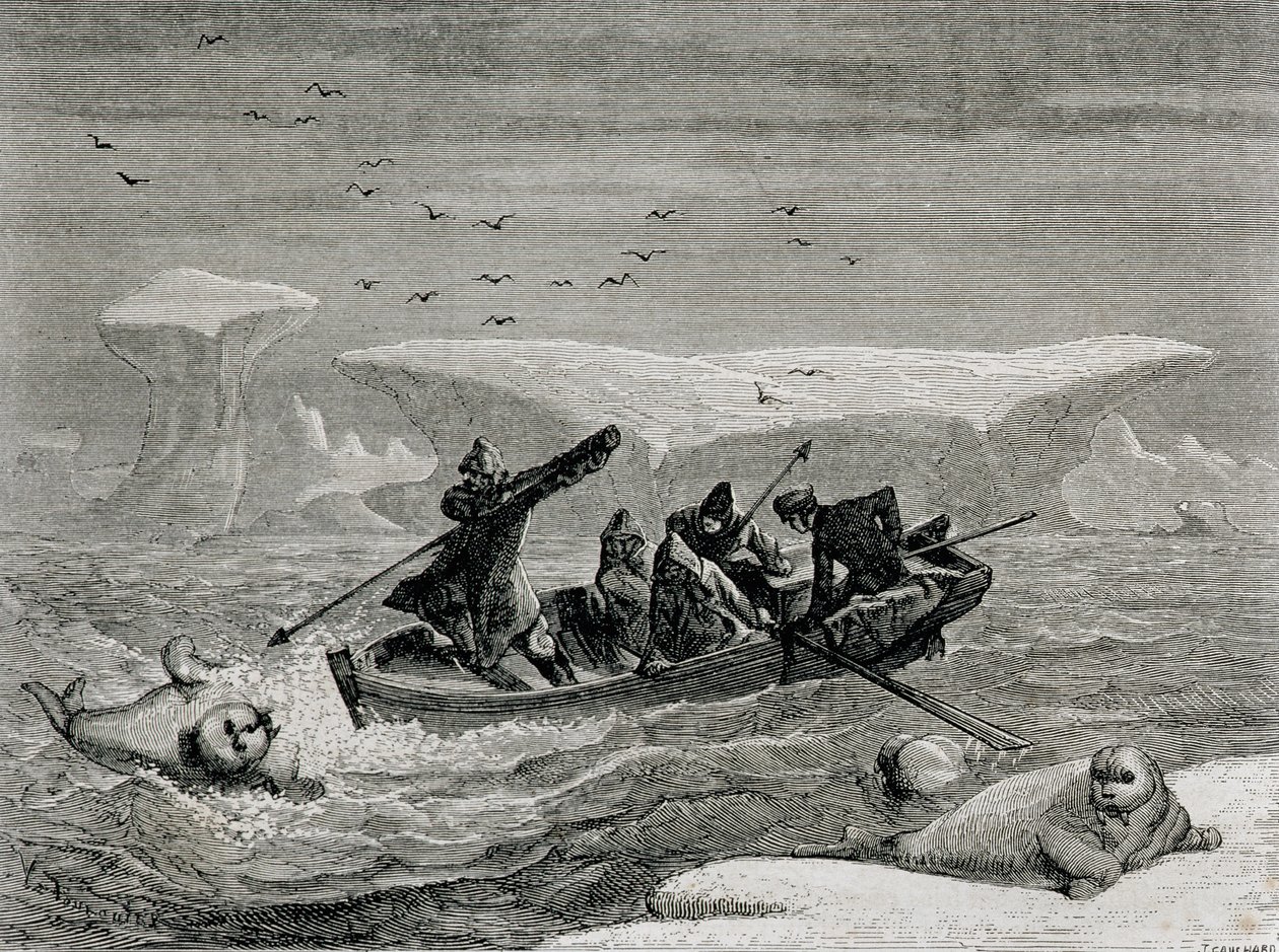 Polowanie na morsa z harpunami na Spitsbergenie, archipelag Svalbard, ilustracja z „Powrotu do świata”, 1865 autorstwa Spanish School