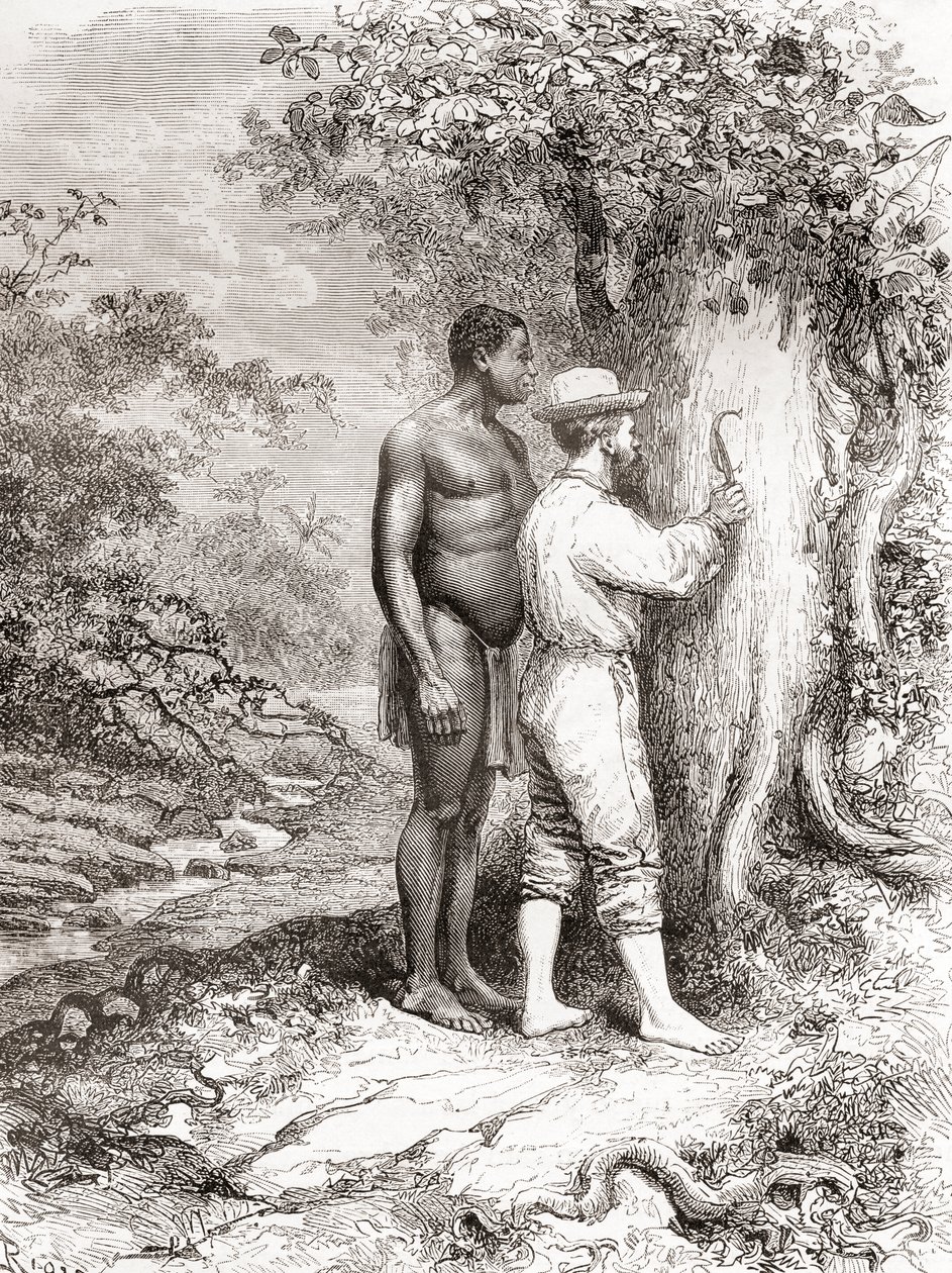 Jules Crevaux, podczas eksploracji Gujany Francuskiej w 1878 r., wyrył swoje inicjały na drzewie nad brzegiem rzeki Oyapock lub Oiapoque autorstwa Spanish School