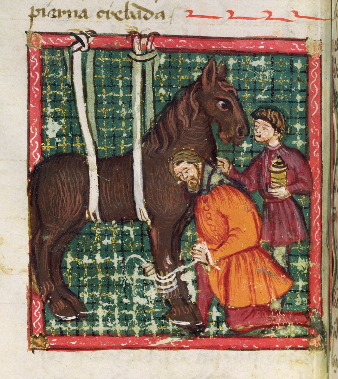 Ms 214 fol.31v Naprawa złamanej kości śródręcza konia, z Libro de Menescalcia y Albeyteria autorstwa Juana Alvareza, c.1390 autorstwa Spanish School